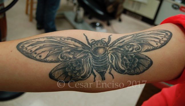 Avant Garde Tattoo and Fine Art  Moth right inside the elbow crease  Ruthie  Facebook